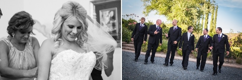 Gershon Bachus Vintners Wedding Bride Groom