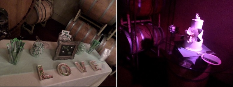 Ponte Winery Barrell Room wedding DJ 10