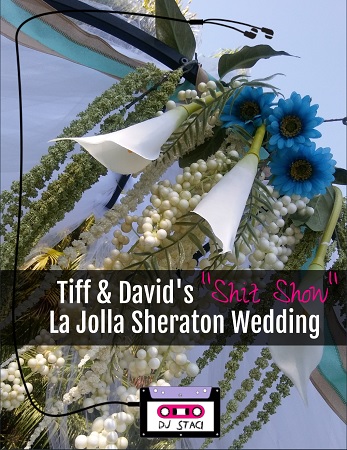 La Jolla Sheraton Wedding 5