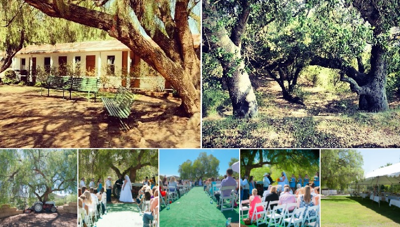 34 Affordable San Diego Wedding Venues Under 1 500 San Diego Dj Staci