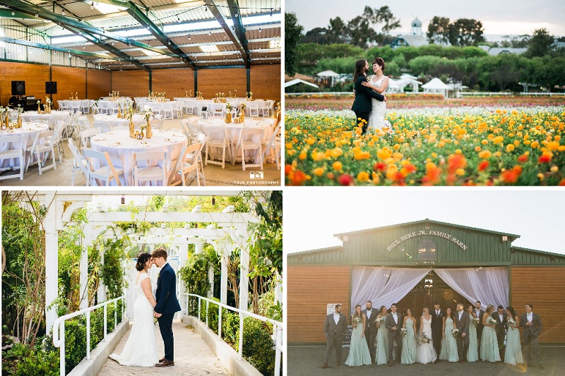 9 San  Diego  Barn  Wedding  Venues  San  Diego  DJ Staci the 