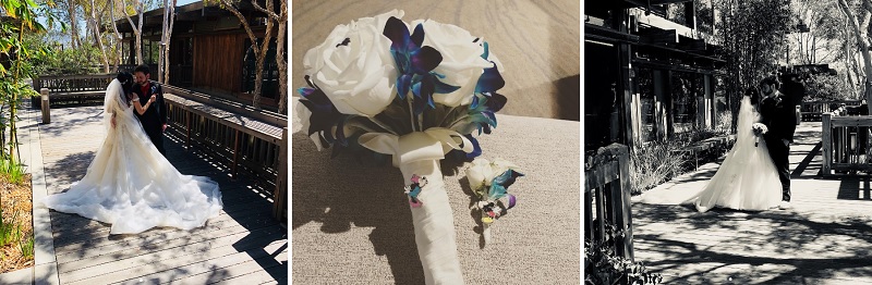 Disney Wedding - Martin Johnson House 7