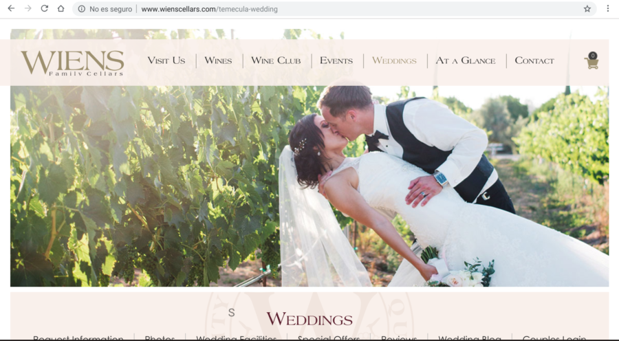 Wiens Family Cellars San Diego Museum Wedding Venue – San Diego DJ Staci