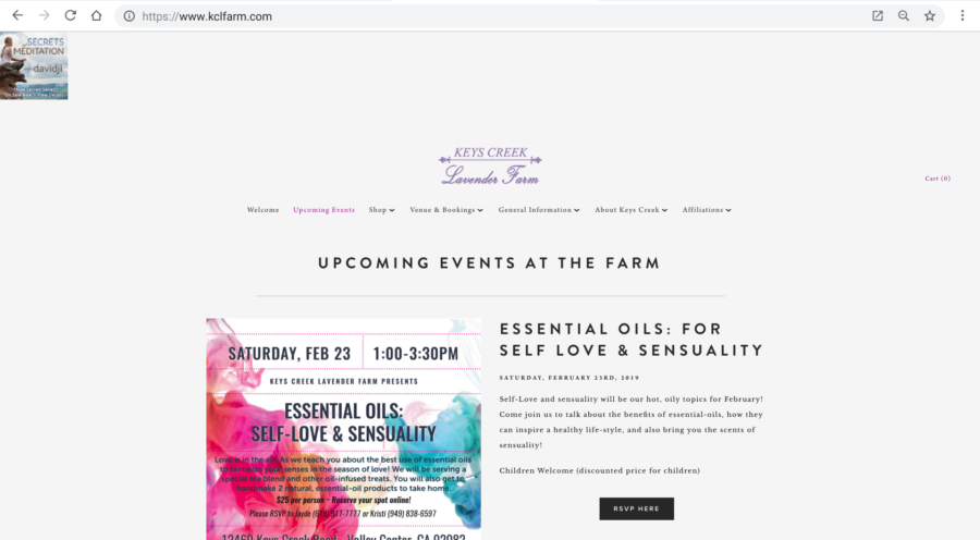Keys Creek Lavender Farm San Diego Museum Wedding Venue – San Diego DJ Staci